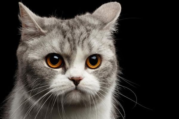 Reiter sicher unterwegs - Sicherheits-Tracking